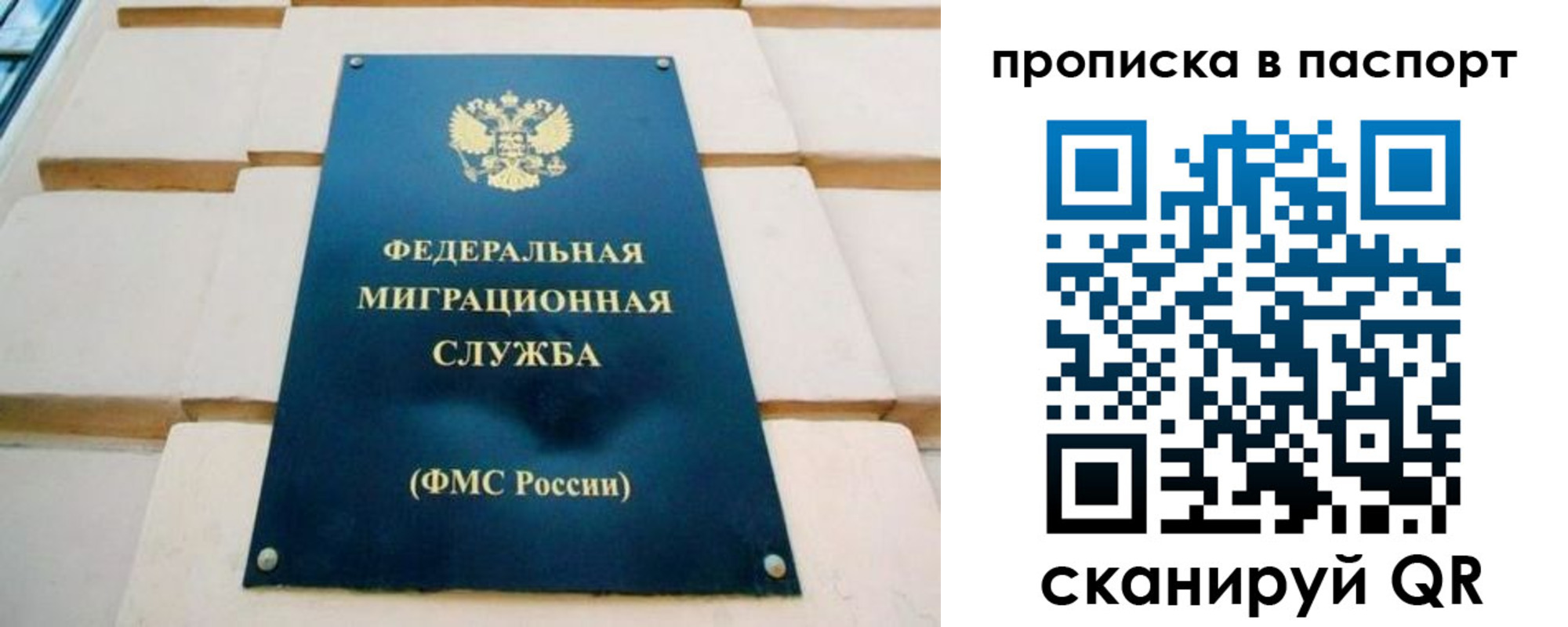 временная регистрация гарантия в Скопине